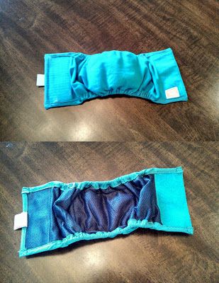 DIY Male Dog Belly Band (Diaper) Dog Belly Band, Belly Bands For Dogs, Dogs Stuff, Dog Clothes Diy, About Dogs, Dog Clothes Patterns, Dog Projects, Dog Crafts, Dog Diapers