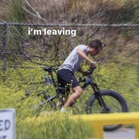 Harry Styles Memes, Response Memes, Harry Styles Funny, Reaction Pic, Text Memes, Haikou, Snapchat Funny, One Direction Humor, One Direction Memes