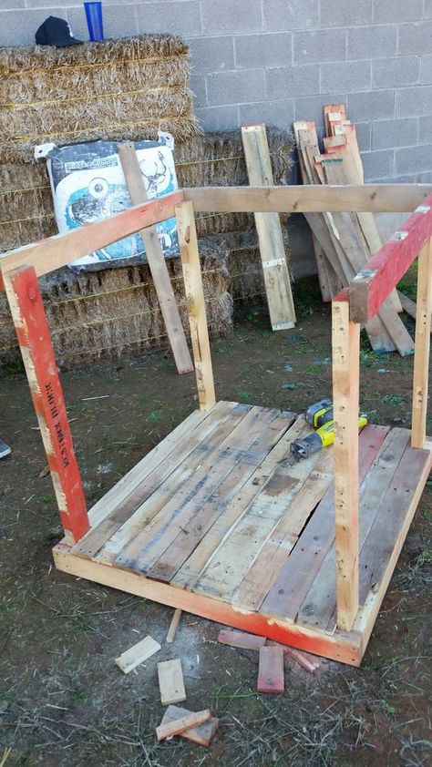 Chicken Coop Made of Pallets: 5 Steps Design Chicken Coop, Chicken Coop Inside, Clean Chicken Coop, Shed Chicken Coop, Pallet Chicken Coop, Cheap Chicken Coops, Chicken Coop Pallets, Mobile Chicken Coop, Clean Chicken