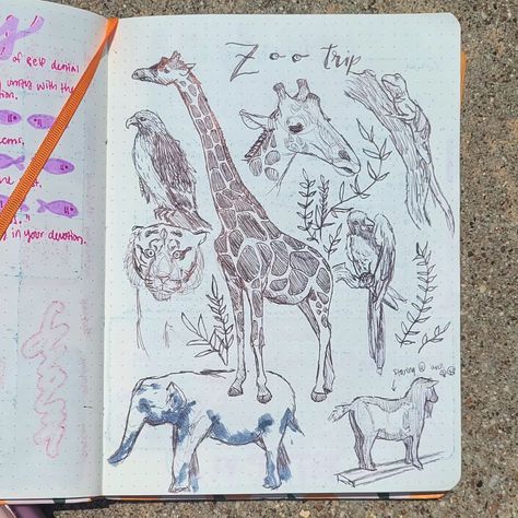 ZOO TRIP 🤩🤩🤩 #animals #zoo #traditionalart #smallartist #pendrawing Zoo Doodles, Zoo Animals Art, Zoo Drawing, Zoo Trip, Zoo Art, Zoo Animals, Pen Drawing, Traditional Art, Animal Art