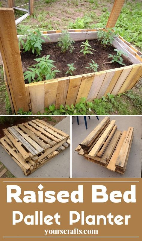 Raised Bed Pallet Planter 2x4 Raised Garden Bed Diy, Garden Palette Ideas, Diy Raised Garden Bed With Pallets, Garden Pallet Projects, Wood Pallet Garden Beds, Diy Pallet Projects Garden, Pallet Garden Diy, Greenhouse From Pallets, Diy Pallet Garden Boxes