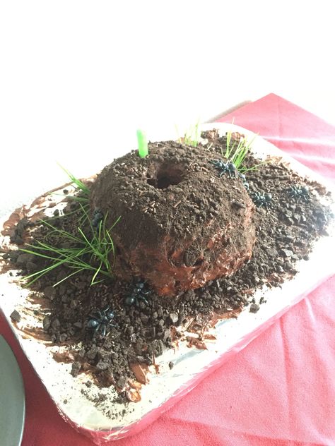 Ant-Man ant hill birthday cake Ant Birthday Cake, Ant Hill Cake, Ant Themed Party, Ant Birthday Party, Ant Hill Craft, Mans Birthday Cake, Book Themed Cakes, Ant Cake, Cake Piping Tips