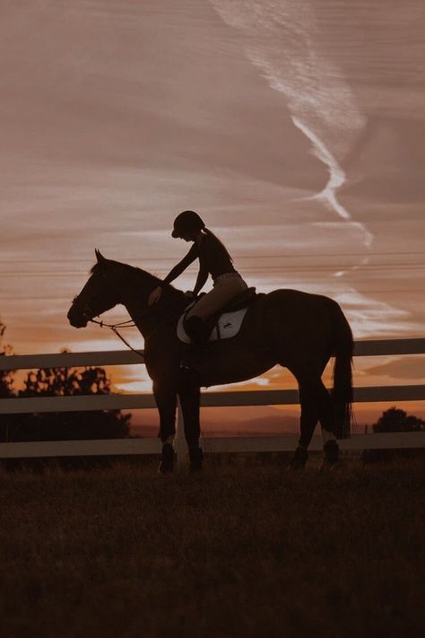 Riding Aesthetic, Horse Riding Aesthetic, Equestrian Aesthetic, Horse Aesthetic, Equestrian Life, Equine Photography, Horse Life, Horse Photos, Vision Board 2023