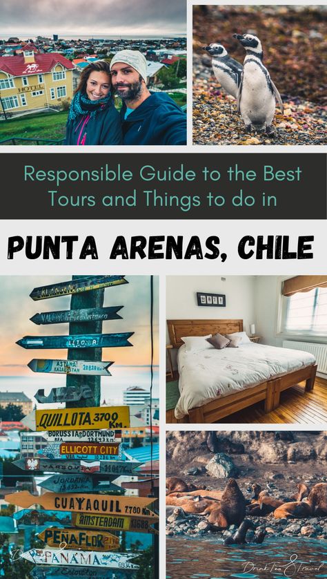 Chile And Argentina Itinerary, Chile Travel Destinations, Chile Itinerary, Chile Trip, Travel Chile, Vina Del Mar, Visit Argentina, Punta Arenas, Responsible Tourism