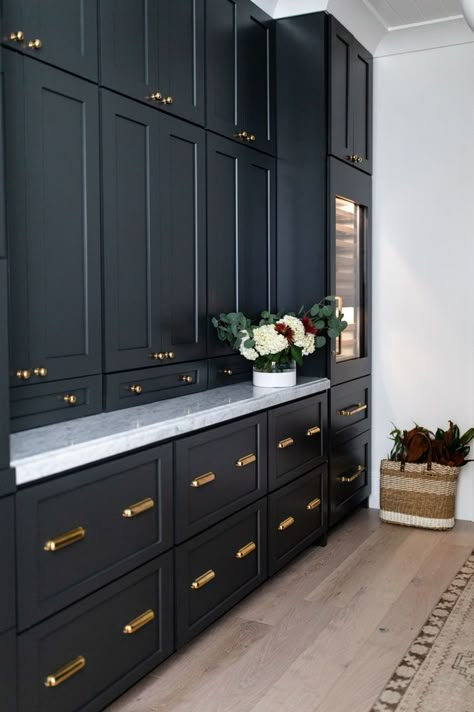 Pulls For Black Cabinets, Pantry Inspiration, Pantry Wall, Gold Knobs, Small Pantry, Black Kitchen Cabinets, Butler Pantry, Inspiration Photos, Butler's Pantry