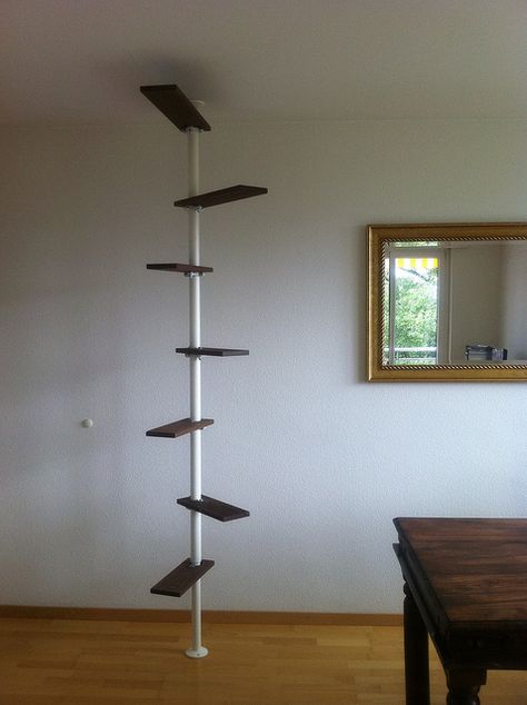 IKEA adjustable pole and shelf system used as a cat tree.  Add some sisal to the pole or shelves and it will be a functional cat tree but with a modern twist! Stolmen Ikea, Ikea Stolmen, Pet Friendly Furniture, Cat Ladder, Cat Toilet Training, Cat Climber, Cat Stairs, Cool Cat Trees, Diy Cat Tree