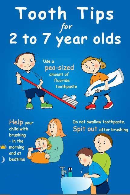 Nothing but the TOOTH! Oral Motor Activities, Childrens Dental Health, Dental Tips, Remedies For Tooth Ache, Dental Posters, Dental Hygiene School, Health Images, Dental Facts, Dental Marketing