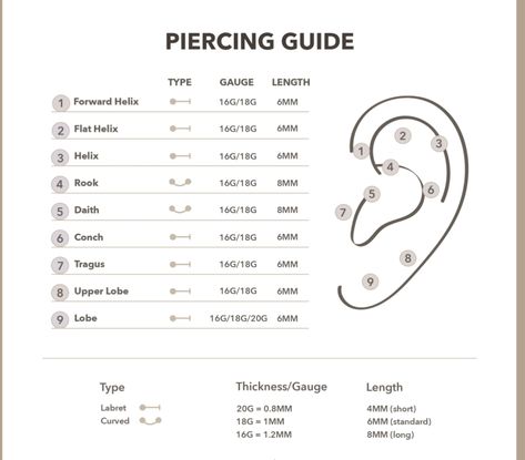 Ear Piercings Gauges, Least Painful Piercings, Flat Piercing, Pretty Ear Piercings, Health Activities, Small Tattoo Designs, Nose Rings, Ear Piercing, Small Tattoo