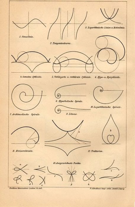 Maths In Nature, Mathematics Art, Mathematics Geometry, Sogetsu Ikebana, Geometry In Nature, Leipzig Germany, Sacred Geometry Symbols, Fibonacci Spiral, Note Image