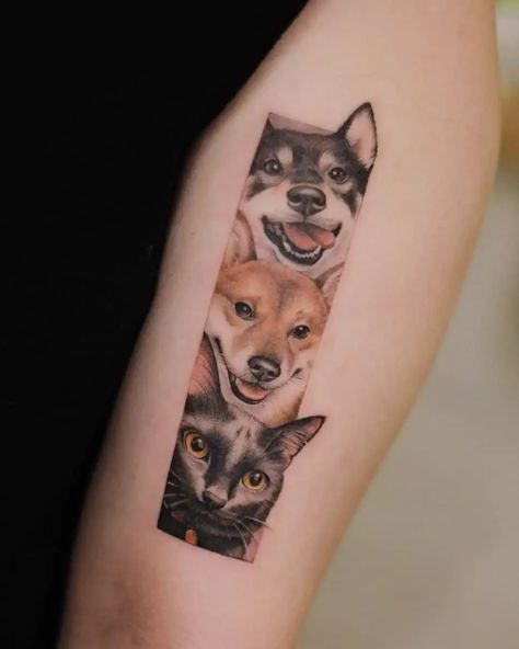 Cat Dog Tattoo Ideas, Multiple Cat Tattoo Ideas, Multiple Dogs Tattoo, Framed Dog Tattoo, Multiple Animal Tattoo, Multiple Pet Tattoo Ideas, Multiple Dog Tattoo, Pet Portrait Tattoo, Tattoo Perro