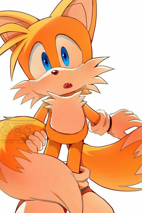 Tails Fanart, Tails Sonic The Hedgehog, Tails Boom, Lucario Pokemon, Emoji Drawings, Fox Boy, Sonic Fan Characters, Sonic Adventure, Hedgehog Art