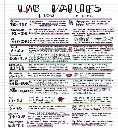 BAMN💉 on Instagram: “It’s important to always know your lab values and the reason behind why their elevated ⬆️or decreased ⬇️ Knowing lab values can also help…” Nursing Labs, Nursing Study Tips, Nursing Study Guide, Nurse Study Notes, Nursing Mnemonics, Nursing Student Tips, Lab Values, Medical Student Study, Pharmacology Nursing