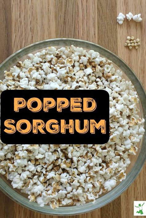 Learn how to make a bowl of popped sorghum...it's the healthy alternative to popcorn! #sorghum #popcorn #snacks #healthy #recipes #thehealthyhomeeconomist Popcorn Alternative, Sorghum Recipes, Corn Allergy, Pancakes Protein, Beef Nachos, Healthy Recipes Easy, Healthy Popcorn, Gluten Free Lasagna, Snacks Healthy