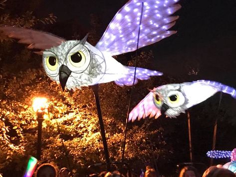 Owl Lantern Paper Lantern Animals, Lantern Parade, Owl Lantern, Diy Lantern, Diy Lanterns, Paper Lantern, School Art Projects, School Art, Paper Lanterns