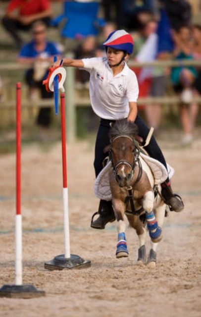 Mounted Games Pony, Mounted Games Horses, Horse Obstacles, Western Games, Wine Games, Horse Family, Pony Games, Horse Arena, Horse Games