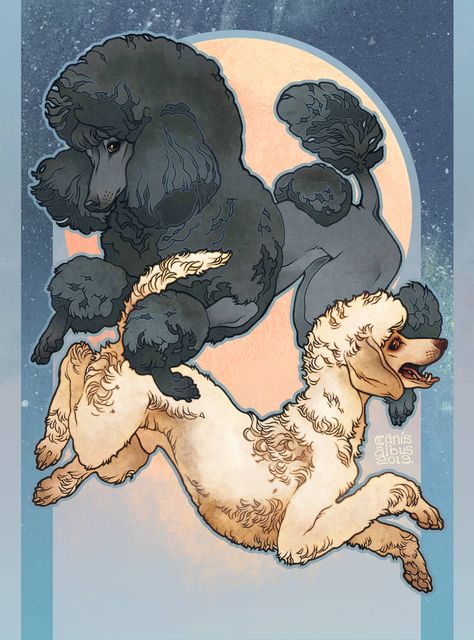 Poodle Drawing, Dog Design Art, Dog Poses, Standard Poodles, Creature Artwork, Canine Art, Animal Sketches, Arte Animal, Dog Drawing