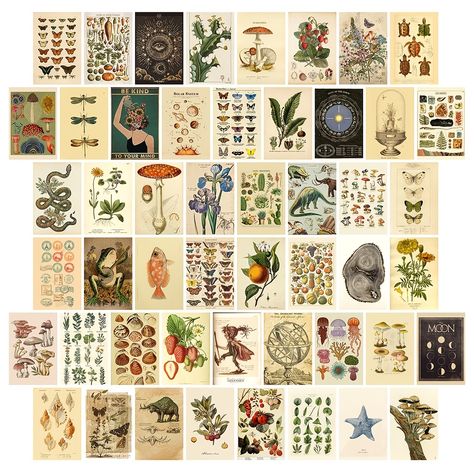 Vintage Wall Collage Kit Aesthetic Pictures Room Decor - Temu Canada Vintage Wall Collage, Collage Kit Aesthetic, Picture Room Decor, Posters For Room, Cottagecore Room, Cottagecore Room Decor, Collage Mural, Dorm Wall Art, Wall Collage Kit