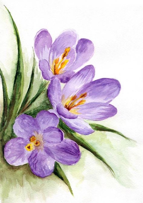 Watercolor Flowers Tutorial, Flowers Illustration, Watercolor Flower Art, 수채화 그림, Spring Painting, Watercolor Art Lessons, Watercolor Flowers Paintings, Watercolor Paintings Tutorials, Suzhou