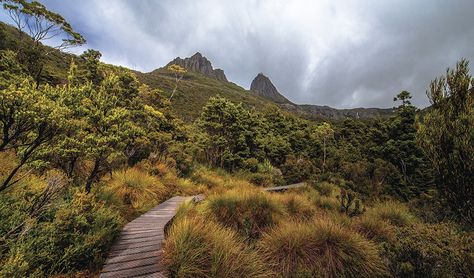 Mount Wellington Tasmania, Mount Kosciuszko, Salmon Challis National Forest, Mount Aspiring National Park New Zealand, Places In Australia, Cradle Mountain Tasmania, Cradle Mountain, Hiking Places, Mountain Images