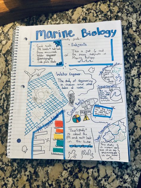 Marine biology High School Marine Biology, Marine Biology Aesthetic Notes Sea Turtles, Marine Science Notes, Marine Biology Career, Marine Biology Aesthetic Hawaii, Marin Biology Aesthetic, Marine Bio Aesthetic, Marine Biology Notes Sharks, Studying Marine Biology