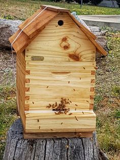 Slovenian AZ hives - Know the pros and cons before buying you beehives. Honey Bees Keeping, Langstroth Hive, Top Bar Hive, Insect Hotel, Bee House, Open Bar, Mesh Screen, Bar Top, Wedding Bar