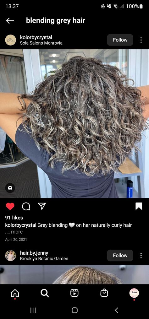 Blended Grey Curly Hair, Gray Bayalage On Dark Hair, Curly Ash Hair, Brunette To Grey Balayage Hair, Medium Brown Curly Hair With Highlights, Gray Blending Curly Hair, Ash Brown Balayage Curly Hair, Grey Blending Highlights Brunette Curly, Grey Blending Highlights Dark Brown Curly Hair