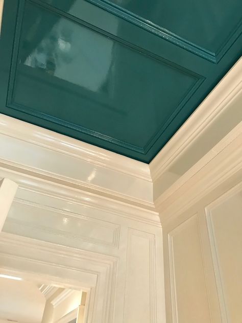 Fine Paints Of Europe Dutch Enamels | Gregory's Paint and Flooring Powder Room Paint, Millwork Wall, Fine Paints Of Europe, Lacquered Walls, Ceiling Trim, Ceiling Detail, Level Homes, Painted Ceiling, Enamels