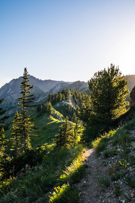 Hiking Telluride Colorado Alta Utah, Telluride Colorado, What A Beautiful World, Utah Usa, Pretty Landscapes, Colorado Travel, Pretty Places, Planet Earth, Nature Travel