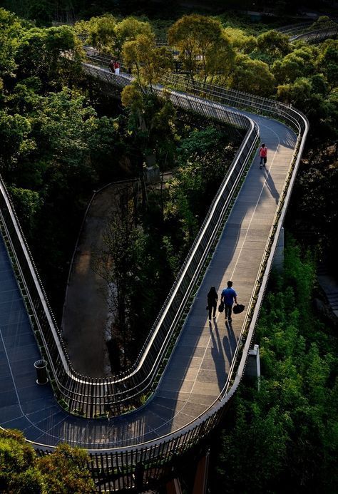 Sky Walk, Landscape Architecture Drawing, Singapore Photos, Landscaping Software, Plans Architecture, Pedestrian Bridge, Bridge Design, Green City, Design Principles