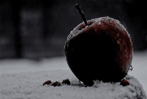 The Evil Queen Snow White, Poison Apple Snow White, Dostoevsky Aesthetic, Dark Queen Aesthetic, Evil Queen Poison Apple, Apple Snow White, Dark Fairytale Aesthetic, Evil Queen Snow White, Apple Snow