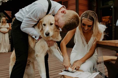 Golden Retriever Stamps Owners' Marriage License with Paw After Officiating Wedding (Exclusive) Golden Retriever Wedding, Dog Marriage, Marriage Signs, Wedding License, Pet Paw Print, Dog Stories, Marriage Certificate, Marriage License, Dog Wedding