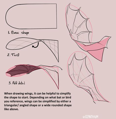 (1) Tweets más recientes / Twitter Wing Anatomy, Dragon Poses, Dragon Anatomy, Wings Drawing, Dragon Sketch, Creature Drawings, Drawing Expressions, Dragon Wings, Dragon Artwork