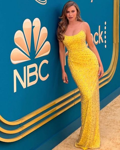 Sofia Vergara on Instagram: "So much fun to be part of this years Emmys🌟❤️Congrats to all the winners!!!🥂" Sofia Vergara Dress, The Emmys, Joe Manganiello, I Luv U, Sofia Vergara, Luv U, Just For Fun, Couture Fashion, Favorite Celebrities