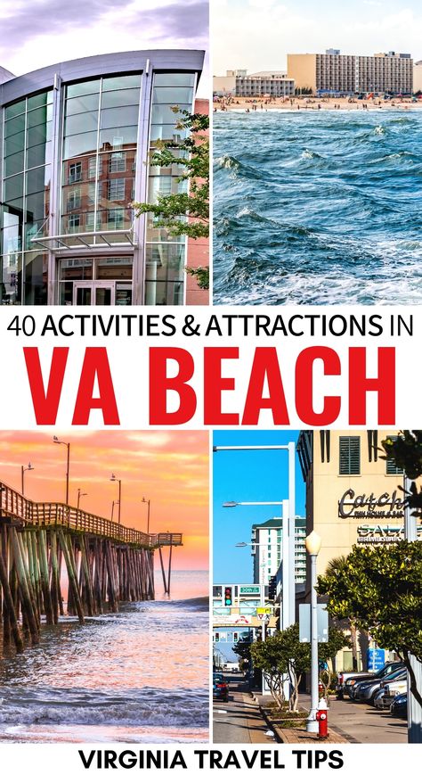 What To Do In Virginia Beach, Things To Do Virginia Beach, Things To Do In Norfolk Virginia, Virginia Beach Outfits, Virginia Beach Things To Do In, Virginia Aquarium, Hiking Virginia, Virginia Beach Restaurants, Williamsburg Vacation