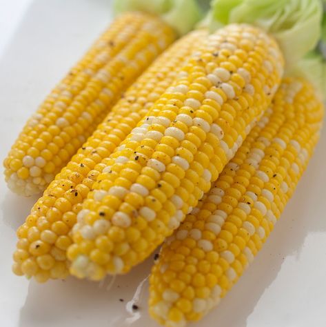 Want to learn how to make corn on the cob without a pot full of water? I know you're thinking how is that possible. We promise your corn will taste juicy and sweet. It's the BEST summer side dish. We promise you won't need to top it with butter when you cook it the waterless way. Just add , salt, and pepper, and dig in if you prefer! View recipe link below. Enjoy! ⁠ ⁠ #360cookware #cornonthecob #cornonthecobrecipe #memorialdaybbq #memorialdaybbqideas #bbqrecipe #corn #waterlesscookingrecipes Steamed Corn On The Cob, Best Corn On The Cob Recipe, Best Corn On The Cob, Make Corn On The Cob, Steam Corn, Corn On The Cob Recipe, How To Make Corn, Kitchen Craft, Ears Of Corn