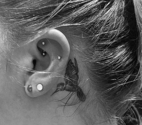 Ear Tattoo Hummingbird, Bird Tattoo Behind Ear, Tattoo Hummingbird, Behind Ear Tattoos, Tattoo Behind Ear, Vogel Tattoo, Tattoo Bird, Small Bird Tattoo, Helix Piercings