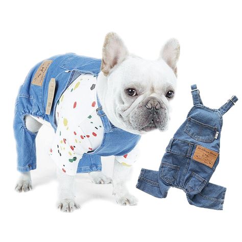 Dog Swimsuit, Dog Overalls, Wearing Overalls, Denim Clothes, Denim Dog, French Bulldog Puppies, Pet Fashion, Dog Sweatshirt, Jean Overalls