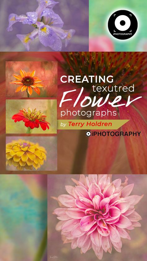 Floral Photography Ideas, Photographing Art, Floral Photography Art, Photoshop Hacks, Floral Pictures, Floral Photos, Macro Photography Tips, Digital Photography Lessons, Photography Training