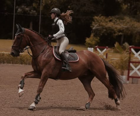 Riding A Horse Aesthetic, Riding Horse Aesthetic, Horse Riding Aesthetic, Horse Riding Outfit, Show Jumping Horses, Cute Horse Pictures, Equestrian Aesthetic, Horse Wallpaper, Horse Aesthetic