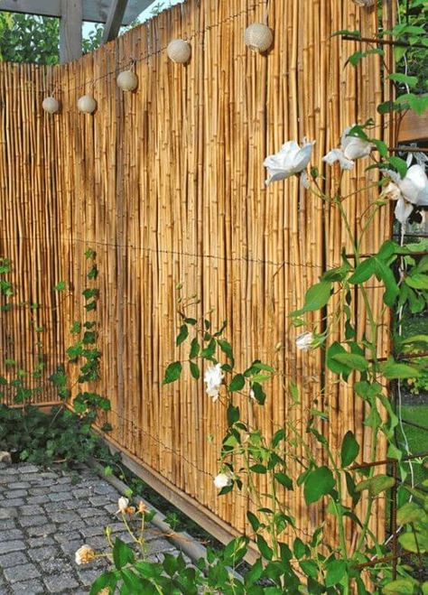 26 CLEVER GARDEN SCREEN IDEAS - 164 Bamboo Screen Garden, Bamboo Screening Fence, Bamboo Garden Fences, Garden Screen, Bamboo Privacy, Garden Privacy Screen, Garden Privacy, Back Garden Design, Backyard Privacy