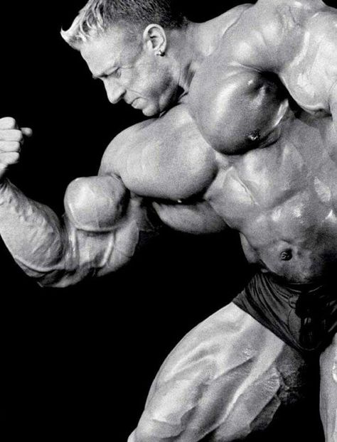 Markus Ruhl Markus Ruhl Bodybuilding, Markus Ruhl, Kevin Levrone, Armored Titan, Bodybuilding Aesthetic, Men Bodybuilding, Arnold Schwarzenegger Bodybuilding, Best Bodybuilder, Schwarzenegger Bodybuilding