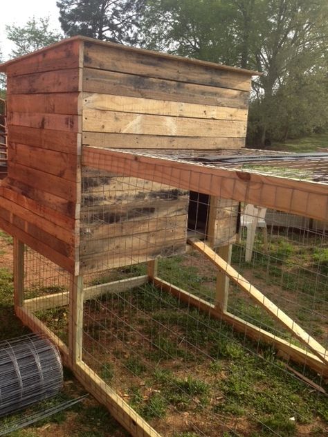 Coop Decorating Ideas, Chicken Coop Decorating Ideas, Diy Hen House, Rabbit Coop, Chicken Run Ideas Diy, Chicken Run Ideas, Pallet Chicken Coop, Pallet Coop, Cheap Chicken Coops