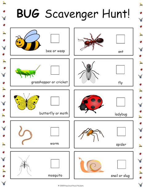 {FREE} Bug Scavenger Hunt! | Preschool Powol Packets Bug Scavenger Hunt, Bug Worksheets, Bug Activities, Insects Preschool, Bugs Preschool, Insect Activities, Insect Crafts, Insects Theme, Free Preschool Printables