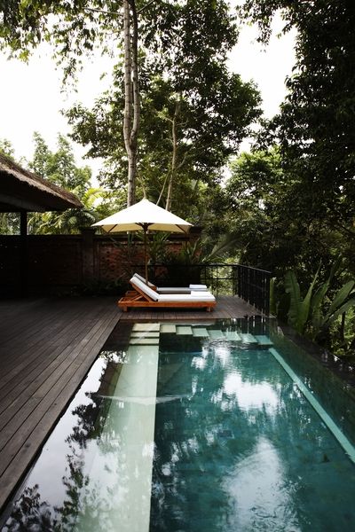 Relaxing beside your personal infinity pool in Uma by COMO, Ubud. Moderne Pools, Ubud Hotels, Dream Pools, Pool Time, Swimming Pool Designs, Garden Pool, Cool Pools, Infinity Pool, Ubud