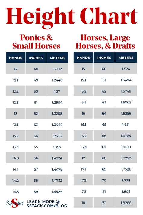 Horse Height Chart - How to Measure a Horse's Height and Weight Horse Care Chart, Horses Training, Horse Stables Design, Barn Organization, Horse Weight, Horse Food, Horse Info, Horse Camp, Horse Books