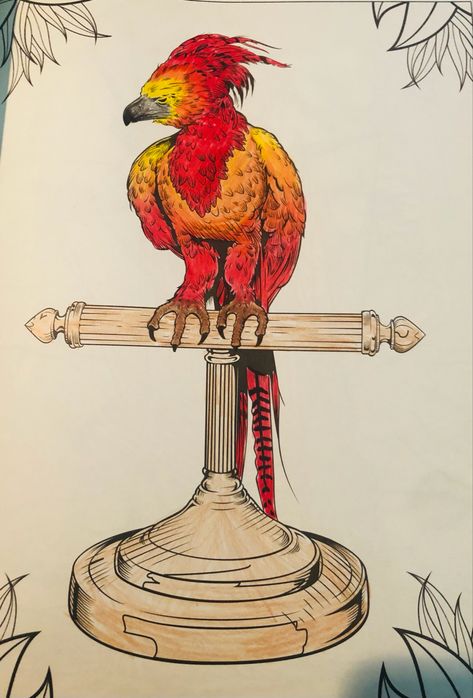 Here is my drawing of the phoenix named Fawkes in the harry potter series. Fawkes The Phoenix Harry Potter, Faux The Phoenix Harry Potter, Harry Potter Quidditch Drawing, Harry Potter Animals Drawings, Harry Potter Dragon Drawing, Harry Potter Creatures Drawing, Fawkes Tattoo Harry Potter, Fawkes Harry Potter, Dibujos Harry Potter