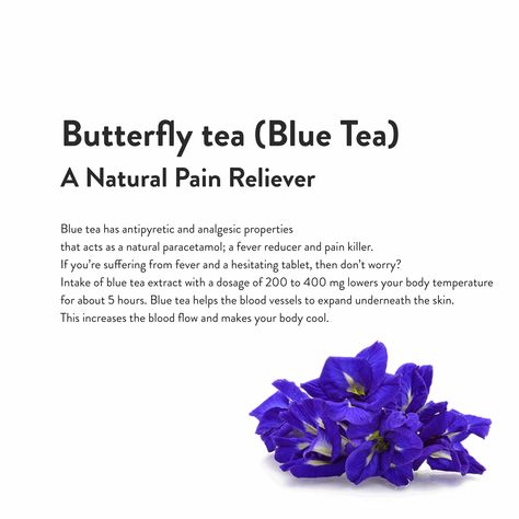 The Most Demanded And Best Colorful Blue Butterfly Pea Flower Tea/Té De Flor De Guisante De Mariposa Azul On The Market With No Added Flavors Or Preservatives/Sans Arômes Ni Conservateurs Ajoutés. PRODUCT DESCRIPTION: Butterfly Pea Flowers are , Non-GMO, Caffeine-free, Gluten-Free, and 100% USDA Certified. These pea flower butterfly teas are hand-picked, sorted, washed, and sun-dried to retain blue tea butterfly pea flower natural nutrients from Organic Farms. Butterfly pea tea is one of the hea Ayurveda Poster, Blue Pea Tea, Blue Butterfly Pea Flower Tea, Blue Butterfly Pea Flower, Dried Butterfly, Pea Flower Tea, Butterfly Pea Flowers, Purple Tea, Butterfly Pea Tea