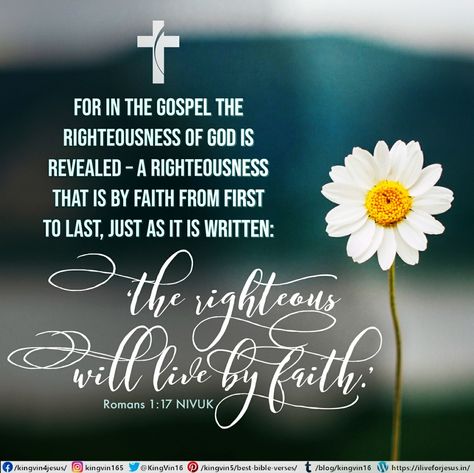 Romans Scriptures, Romans 1, King James Bible Verses, Righteousness Of God, Roman 1, Best Bible Verses, About Jesus, Scripture Pictures, Encouraging Scripture