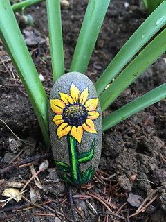 Sunflower | Acrylic on rock | Stacey Potts | Flickr Modern Rock Garden, Rock Garden Ideas, Stone Paintings, Modern Rock, Rock Designs, Easy Diy Paint, Rock Flowers, Paint Rocks, Painted Rocks Diy