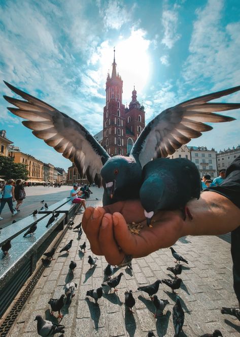 Krakow Photo Ideas, Idea Photo, Travel Pics, Krakow, Cloud Gate, Pretty Places, Travel Pictures, Photo Ideas, Poland